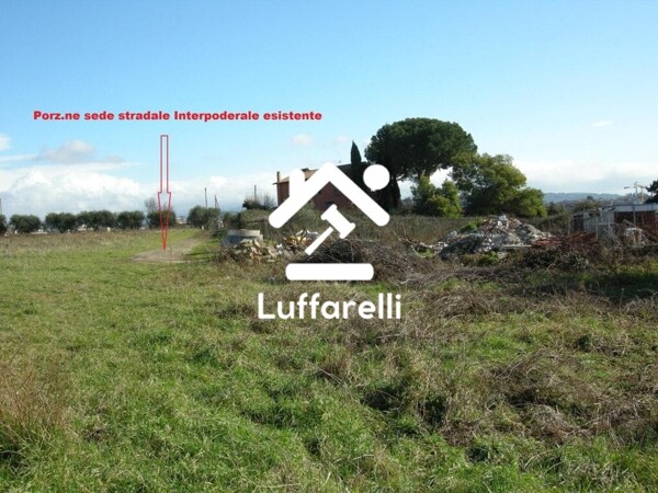 TERRENO VIA GIOVANNI PRATI - MARINO — foto 8