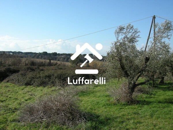TERRENO VIA GIOVANNI PRATI - MARINO — foto 6