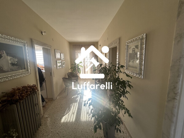 APPARTAMENTO CONTRADA COLLE MASTROIANNI - FONTECHIARI — foto 5