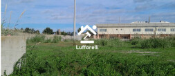 TERRENO NON AGRICOLO LUNGOMARE DUCA DEGLI ABRUZZI LOTTO 3 - ROMA — foto 2