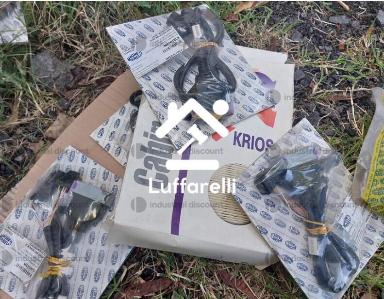 Merce Deperibile — foto 6
