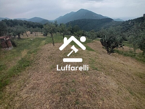 TERRENO VIA CAPO DELL'ACQUA - NORMA — foto 5