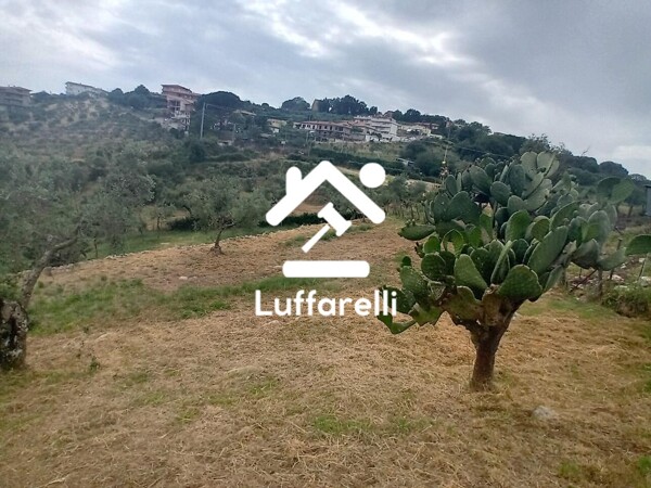 TERRENO VIA CAPO DELL'ACQUA - NORMA — foto 4