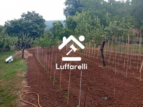 TERRENO VIA CAPO DELL'ACQUA - NORMA — foto 3