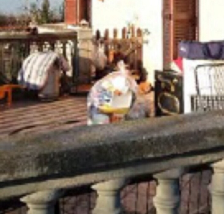 Immagine di APPARTAMENTO IN VIA S. CESAREO ROCCA PRIORA (RM)