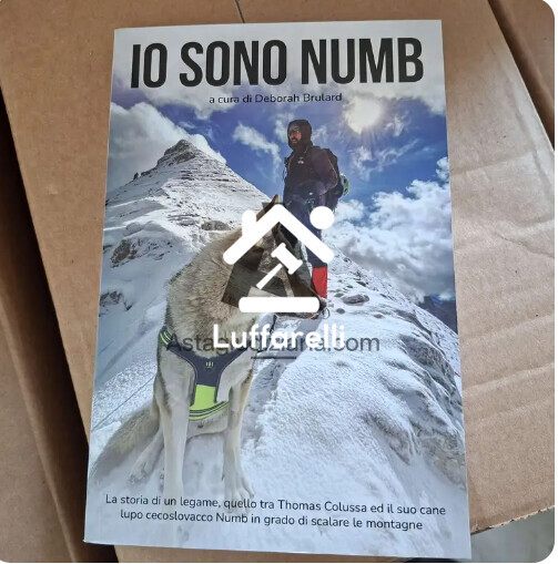 Bene Generico – N.3383 copie libro Io sono Numb — foto 2