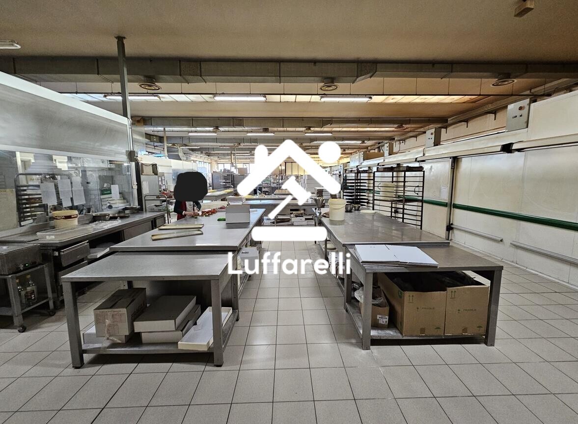 Macchinari Per L'Industria Alimentare E Conserviera – Macchinari e attrezzature impiegati per la produzione di… — foto 4