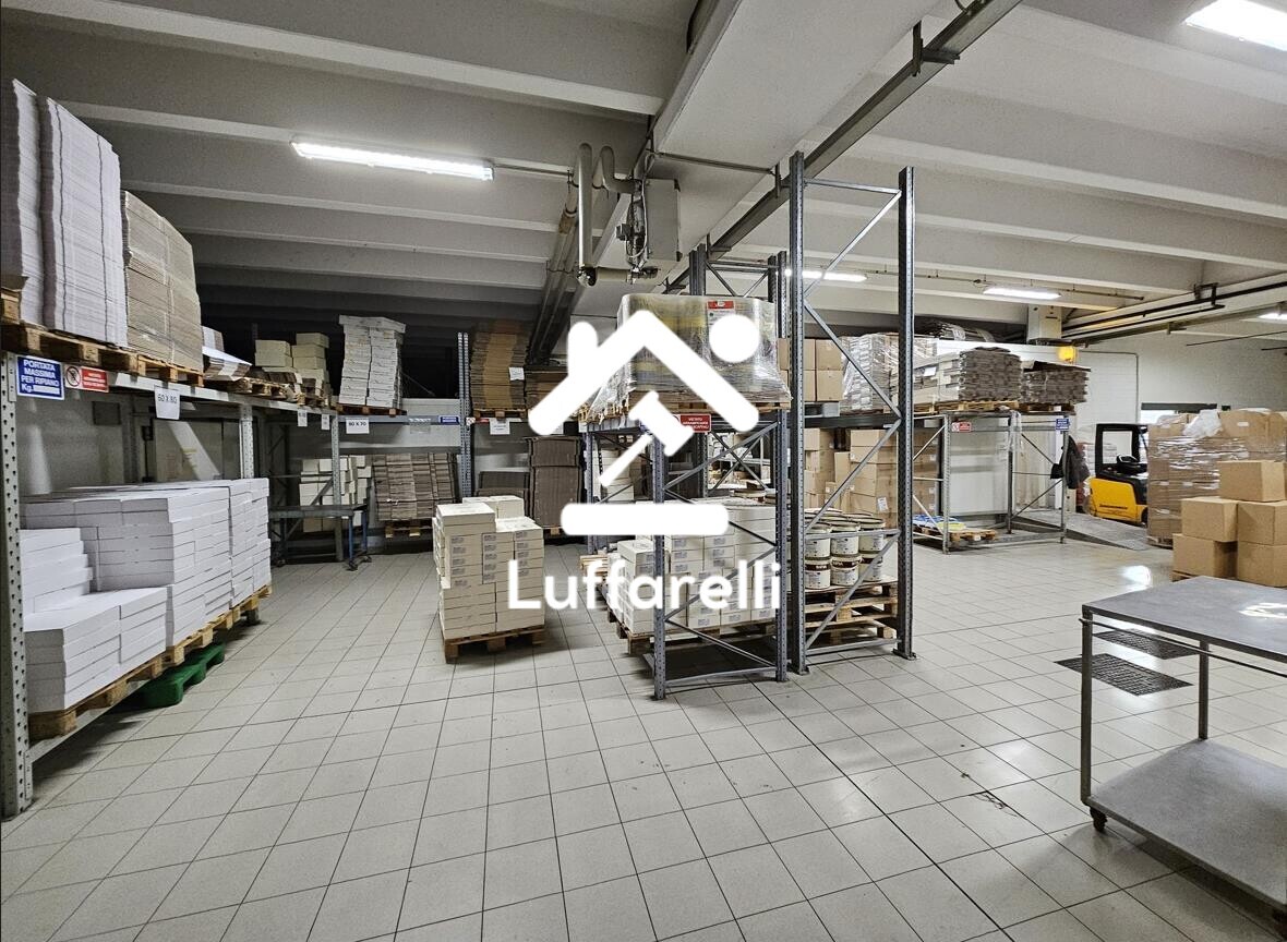 Macchinari Per L'Industria Alimentare E Conserviera – Macchinari e attrezzature impiegati per la produzione di… — foto 5