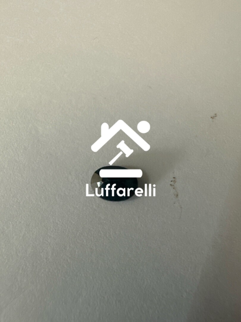 Preziosi – Il lotto comprende 25 gemme preziose, per un peso complessivo di… — foto 4