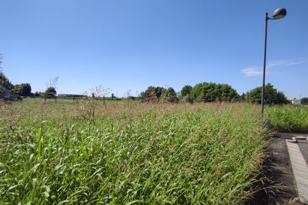 TERRENO VIA GIOVANNI BONATO - POJANA MAGGIORE — foto 2