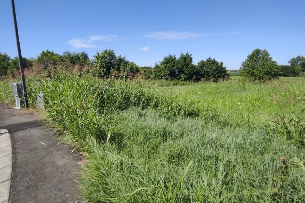TERRENO VIA GIOVANNI BONATO - POJANA MAGGIORE — foto 3