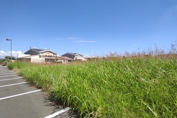 TERRENO VIA GIOVANNI BONATO - POJANA MAGGIORE — foto 3