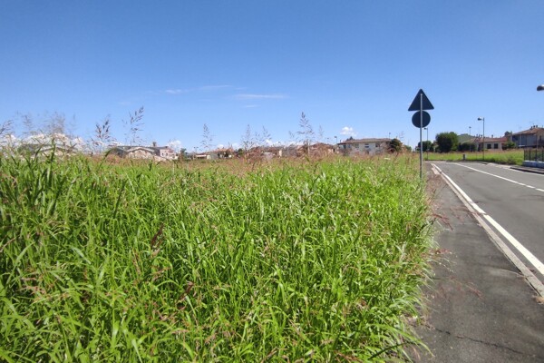 TERRENO VIA GIOVANNI BONATO - POJANA MAGGIORE — foto 2
