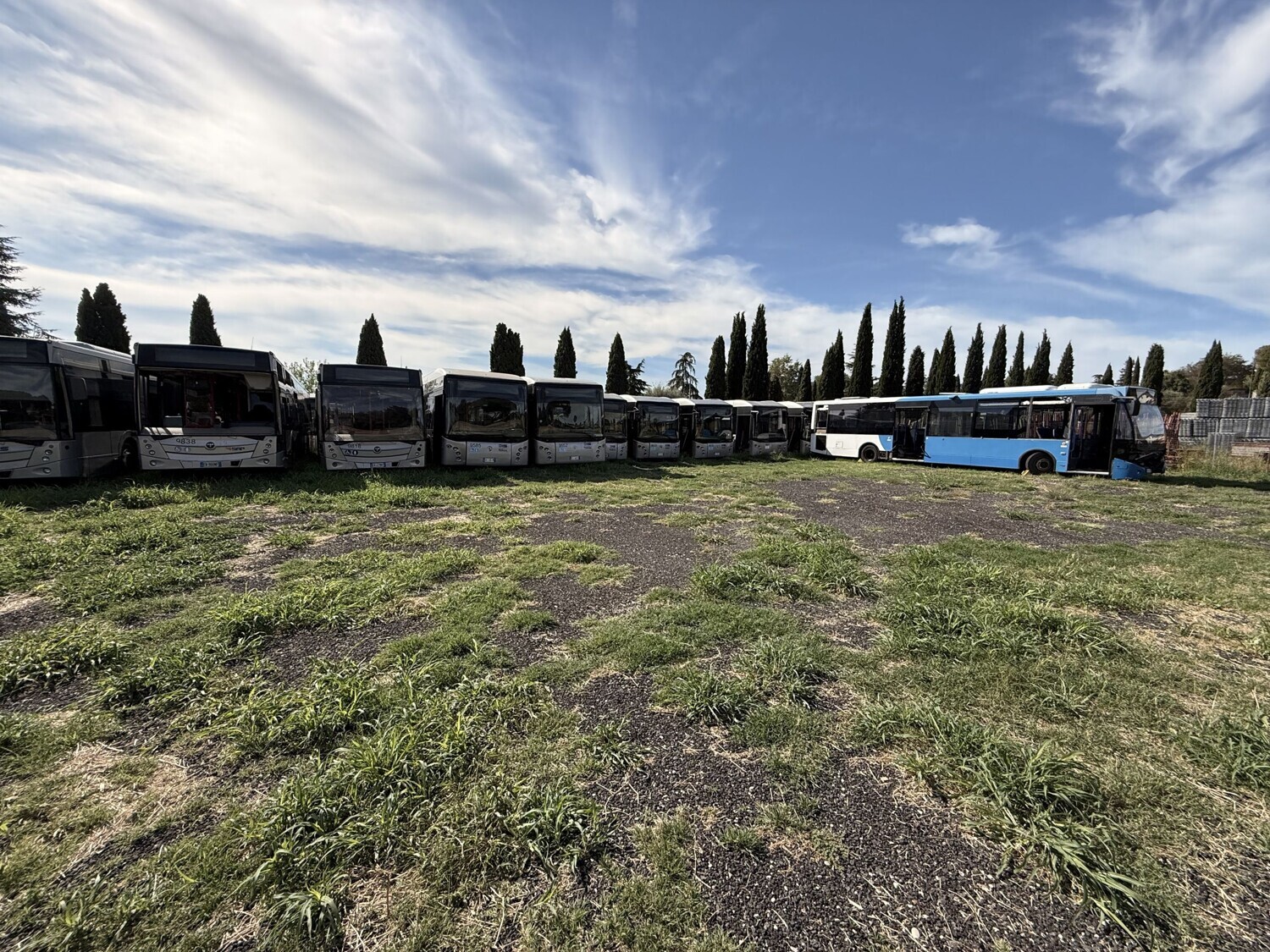 Automezzi Commerciali – Un'occasione rara per operatori del trasporto pubblico… — foto 5