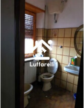 NEGOZIO O LOCALE COMMERCIALE VIA APPIA VECCHIA - GENZANO DI ROMA — foto 9