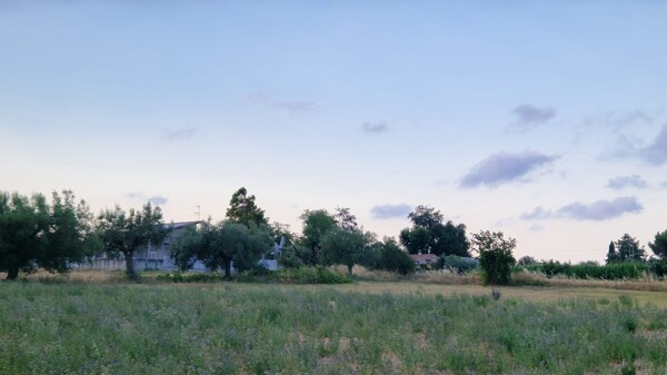 TERRENO STRADA COMUNALE SANTA MARIA DELL'ARCO - MOSCIANO SANT'ANGELO — foto 4