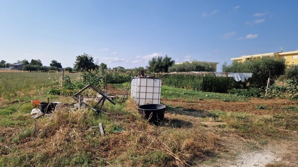 TERRENO STRADA COMUNALE SANTA MARIA DELL'ARCO - MOSCIANO SANT'ANGELO — foto 2