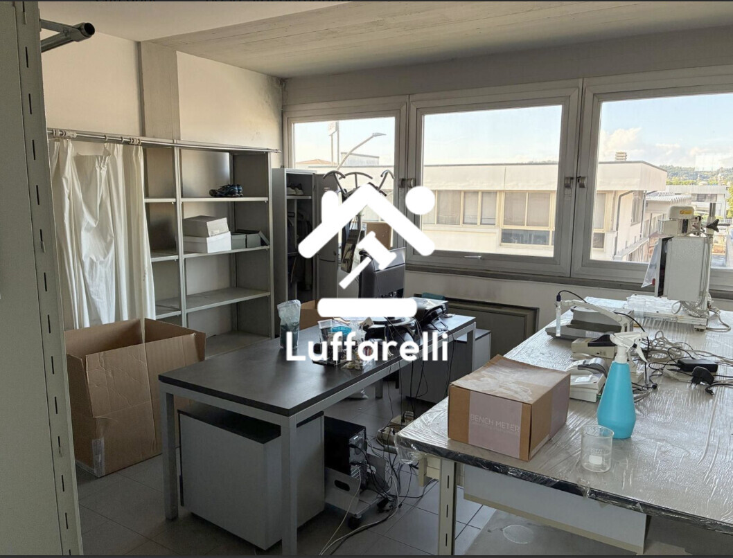 Macchinari Per L'Industria Tessile, Lavorazione Pelli E Calzature – Il lotto comprende macchinari da conceria (catene essiccamento… — foto 7