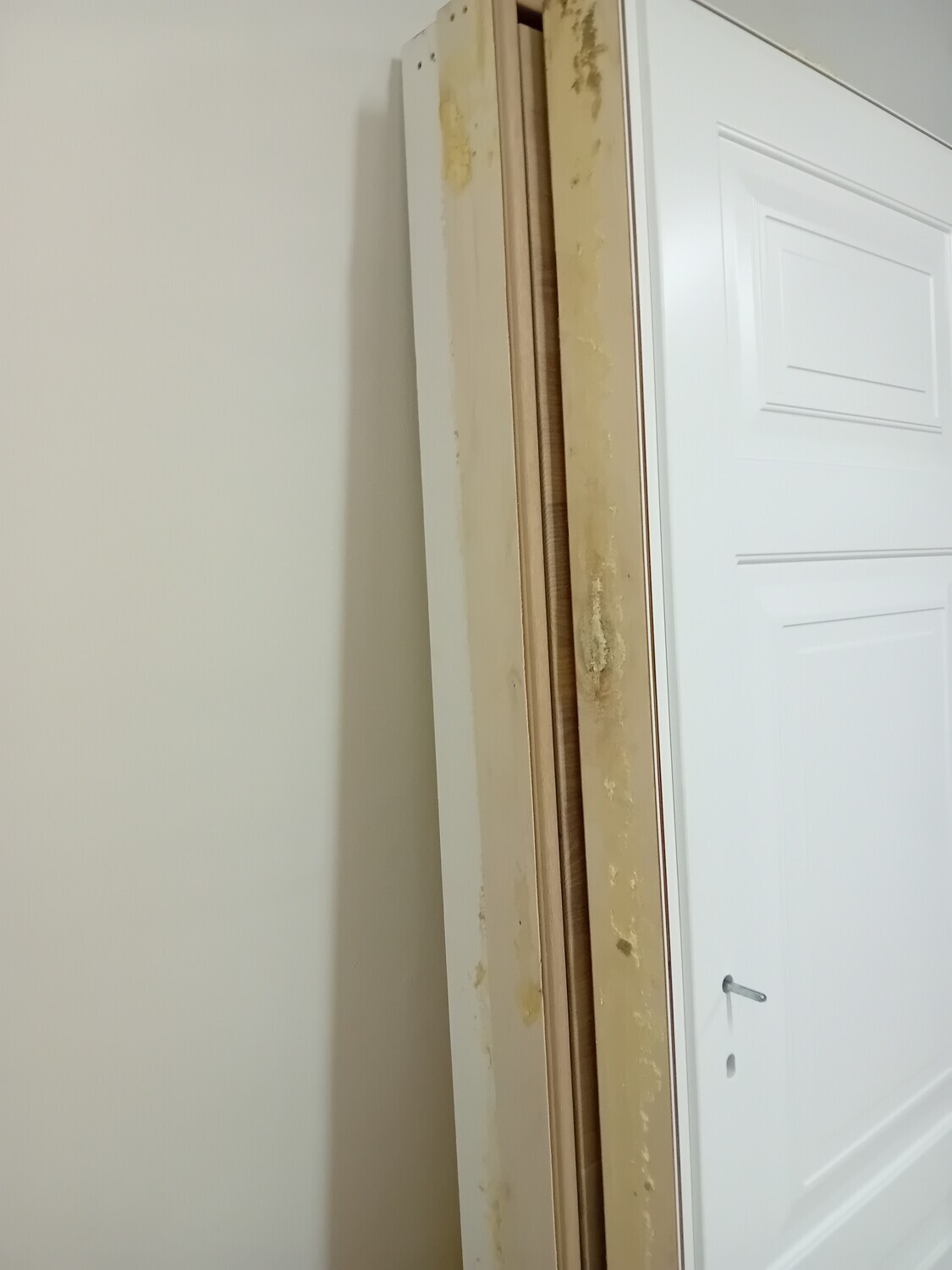 Mobili Da Casa E Varie – TRE PORTE MARCA GAROFALI NUOVE, IN LEGNO, DI CUI DUE LACCATE… — foto 3