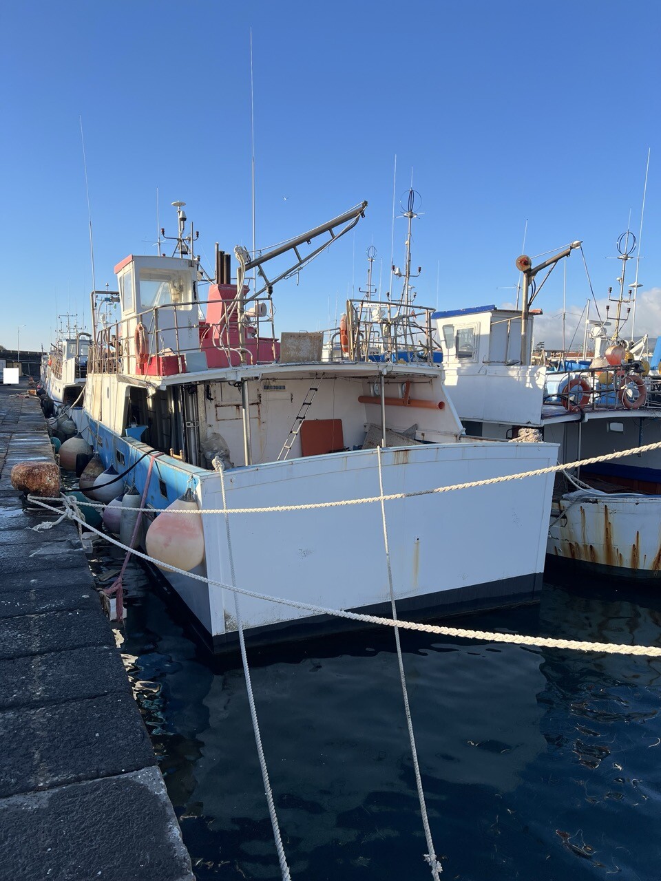 Navi E Galleggianti – L’imbarcazione risulta essere ormeggiata al porto di Riposto… — foto 4