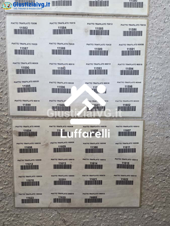 Materie Prime E Prodotti – Il lotto comprende una capra identificata con il numero 117… — foto 3
