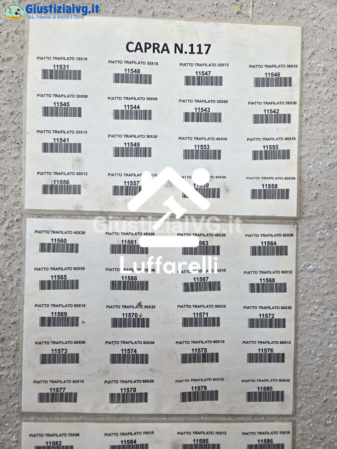 Materie Prime E Prodotti – Il lotto comprende una capra identificata con il numero 117… — foto 4