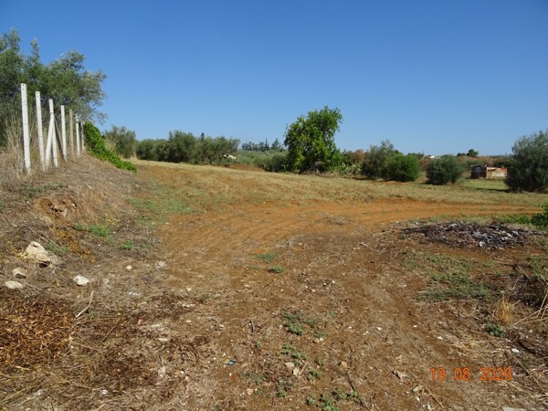 TERRENO CONTRADA VITUSO - NISCEMI — foto 2