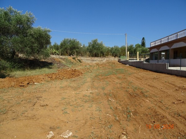 TERRENO CONTRADA VITUSO - NISCEMI — foto 3