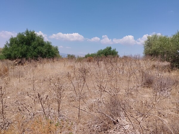TERRENO CONTRADA TOROTTO - NISCEMI — foto 2