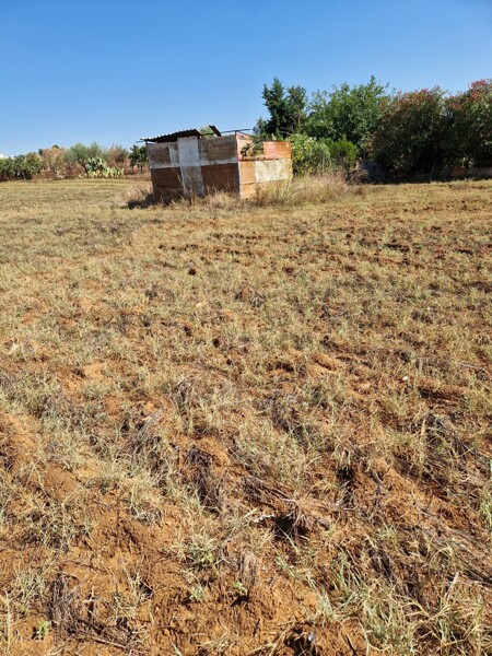 TERRENO CONTRADA VITUSO - NISCEMI — foto 2