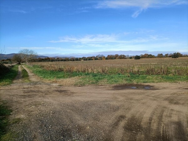 TERRENO LOCALITÀ CALDANA - CANINO — foto 5