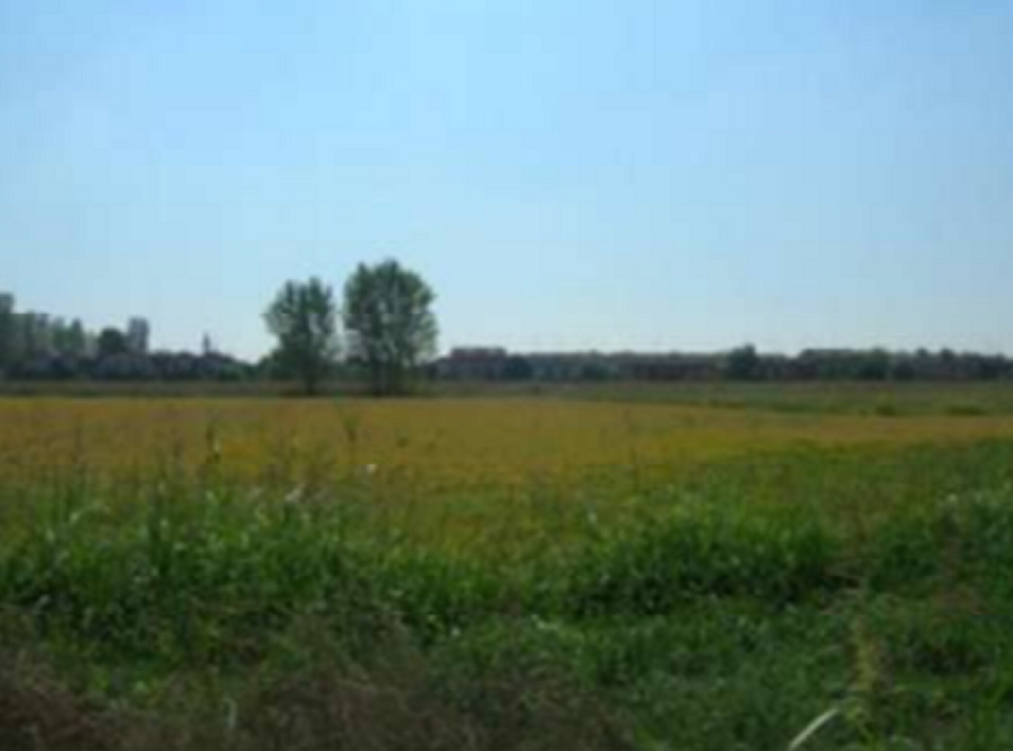 TERRENI VIA ALCIDE DE GASPERI - SANNAZZARO DE' BURGONDI (PV) — foto 3