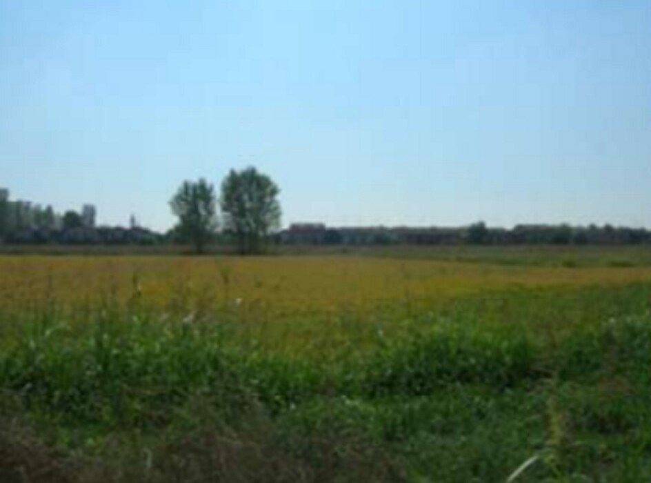 Immagine di TERRENI VIA ALCIDE DE GASPERI – SANNAZZARO DE’ BURGONDI (PV)