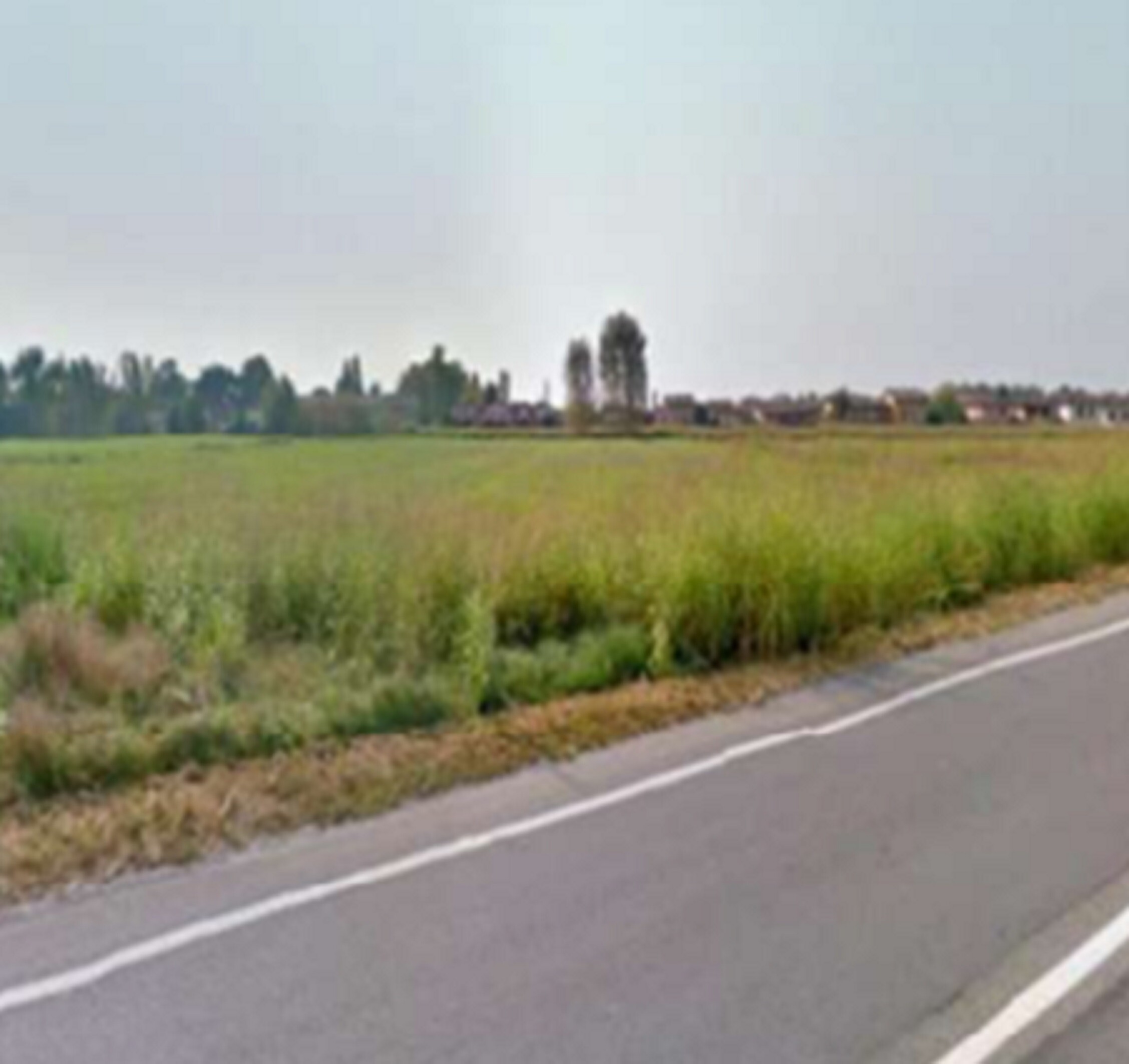 TERRENI VIA ALCIDE DE GASPERI - SANNAZZARO DE' BURGONDI (PV) — foto 6