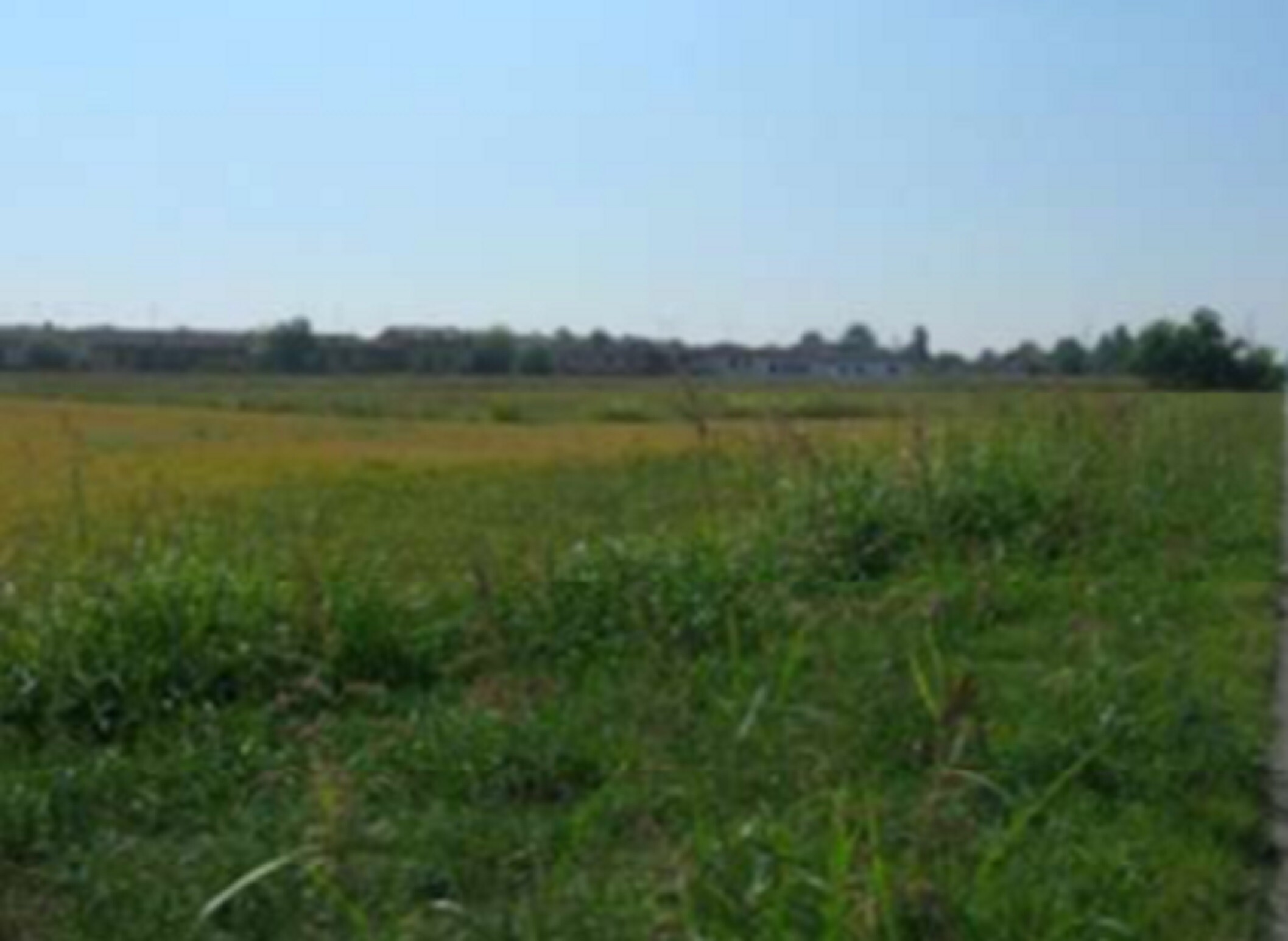 TERRENI VIA ALCIDE DE GASPERI - SANNAZZARO DE' BURGONDI (PV) — foto 2