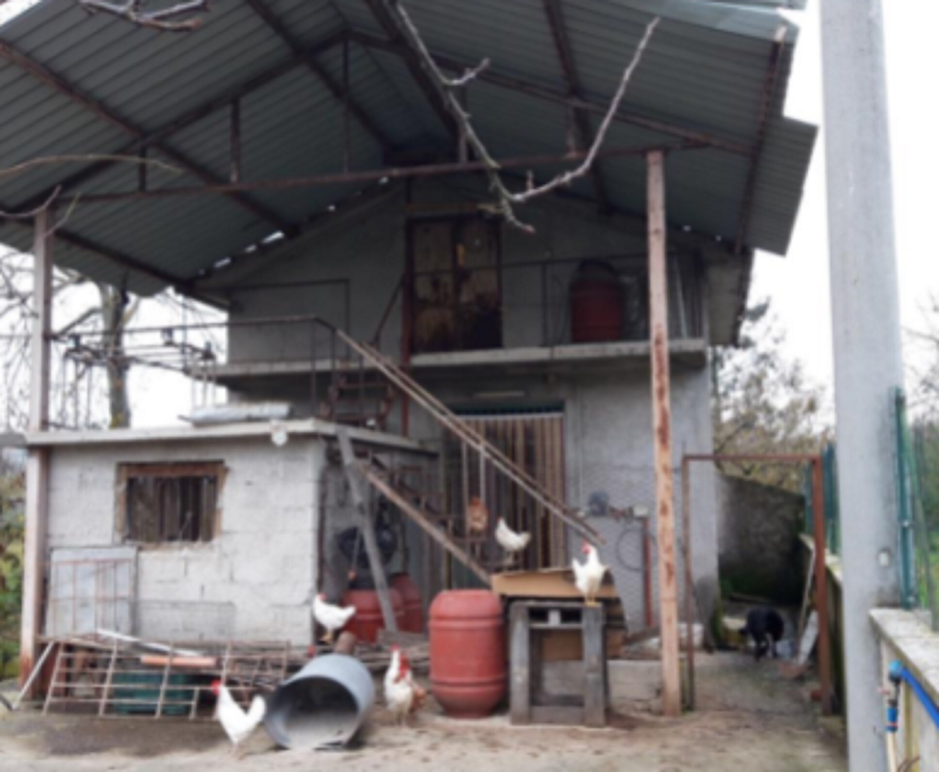LAB+NEGOZIO, LOC.PAGNANELLI ISOLA DEL LIRI (FR) — foto 2