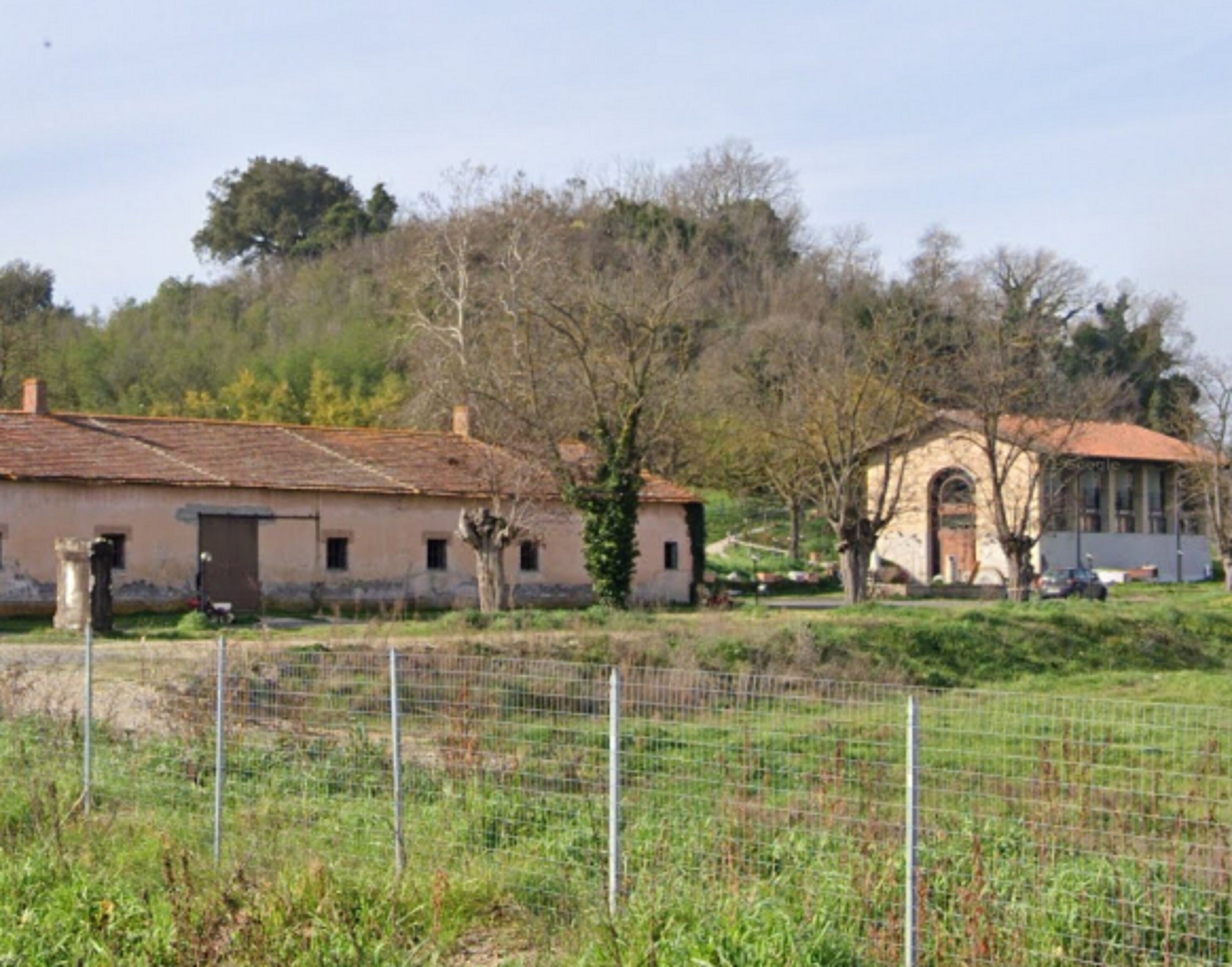 COMPENDIO AGRICOLO IN VIA DI BOCCEA - ROMA — foto 7