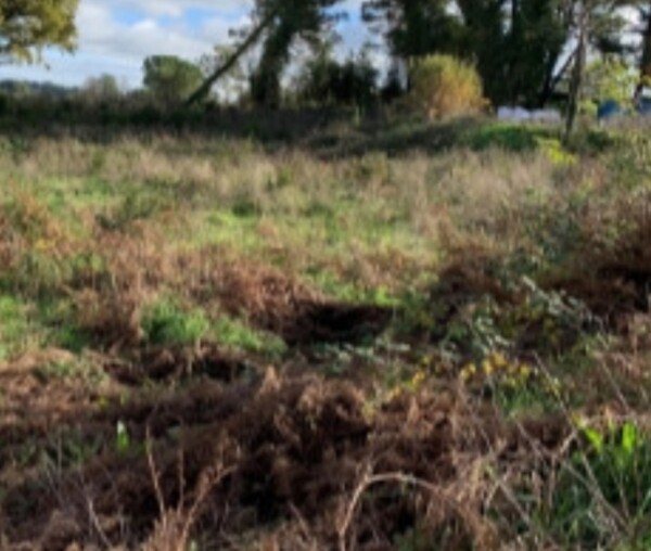 TERRENO VIA DEL SALVATORE SNC - CAMPAGNANO DI ROMA — foto 2