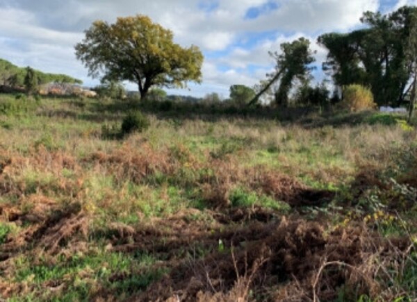 TERRENO VIA DEL SALVATORE SNC - CAMPAGNANO DI ROMA — foto 4