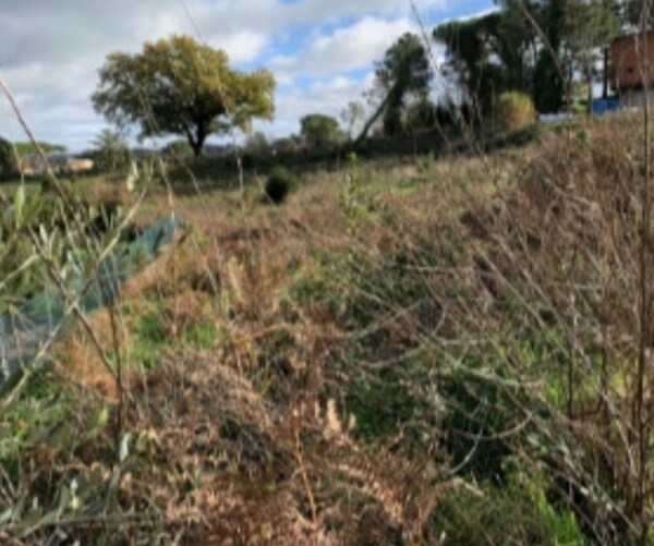 TERRENO VIA DEL SALVATORE SNC - CAMPAGNANO DI ROMA — foto 5