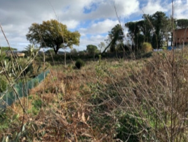 TERRENO VIA DEL SALVATORE SNC - CAMPAGNANO DI ROMA — foto 3