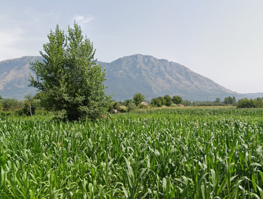 Immagine di TERRENO ZONA ASI – AIROLA