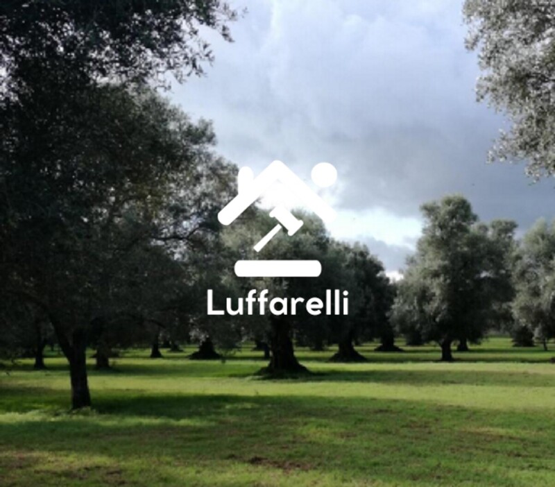 Immagine di TERRENO CONTRADA “FILICUSO – GIOIA TAURO