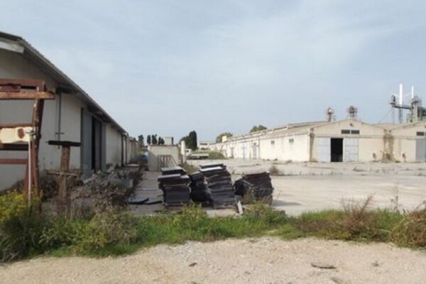 CAPANNONE / IMMOBILI INDUSTRIALI ZONA INDUSTRIALE - PORTO TORRES — foto 7