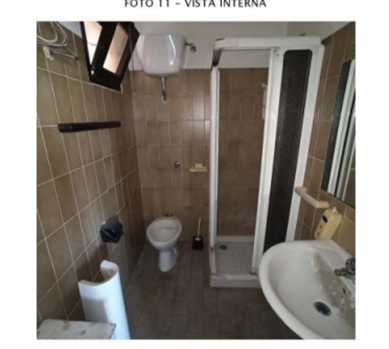 Immagine di CAPANNONE VIA NETTUNENSE ANZIO (RM)