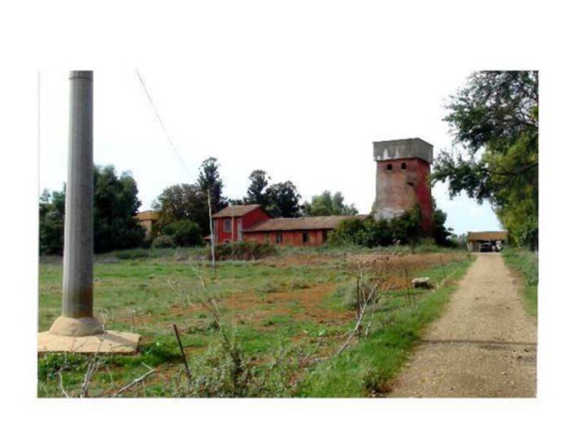 Immagine di VIVAIO LANUVIO STRADA STATALE NETTUNENSE