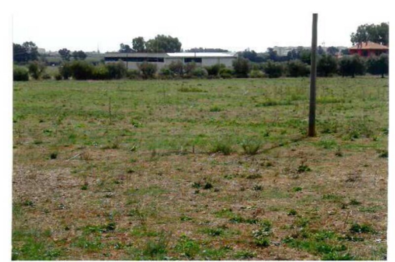 Immagine di VIVAIO LANUVIO STRADA STATALE NETTUNENSE