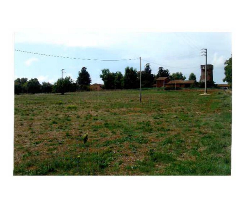 Immagine di VIVAIO LANUVIO STRADA STATALE NETTUNENSE