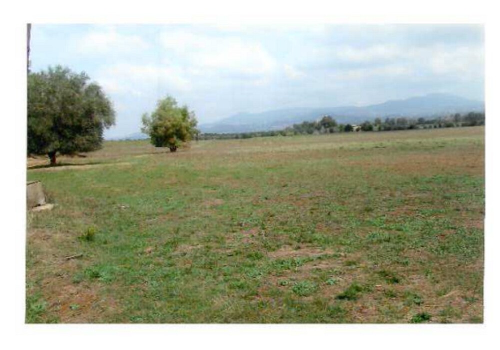 Immagine di TERRENO STRADA STATALE NETTUNENSE – LANUVIO