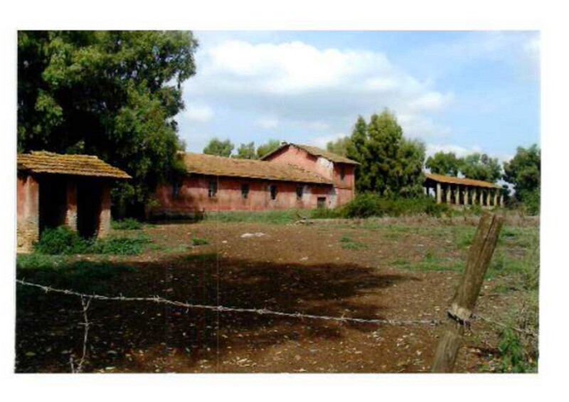 Immagine di TERRENO STRADA STATALE NETTUNENSE – LANUVIO